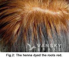 260505160150_Hair-Dying with henna-s.jpg